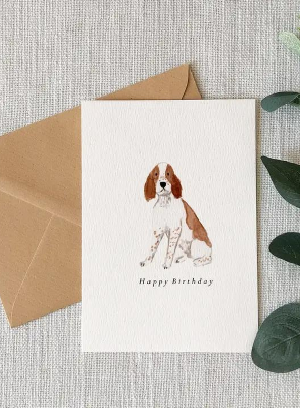 Springer Spaniel Birthday Card from HeatherLucyJ Design