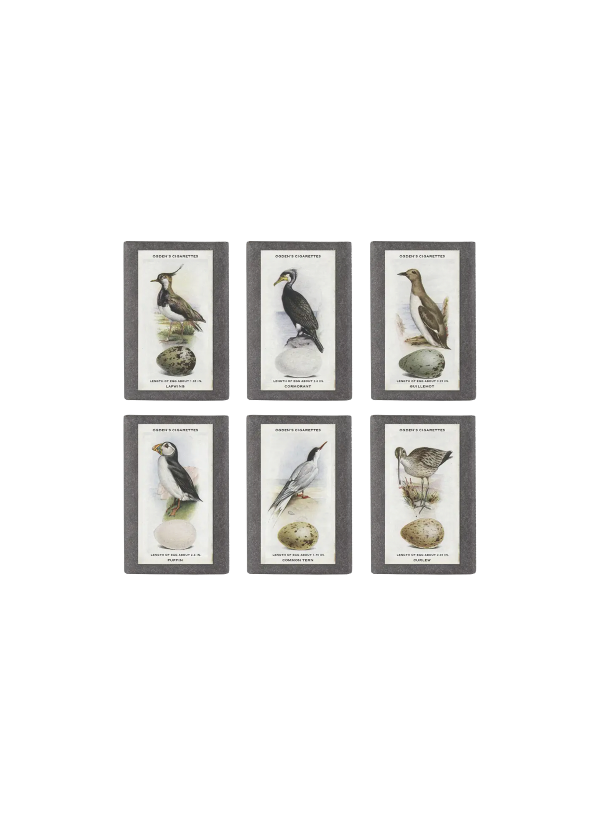 Sting in the Tail British Sea Birds Label Soap
