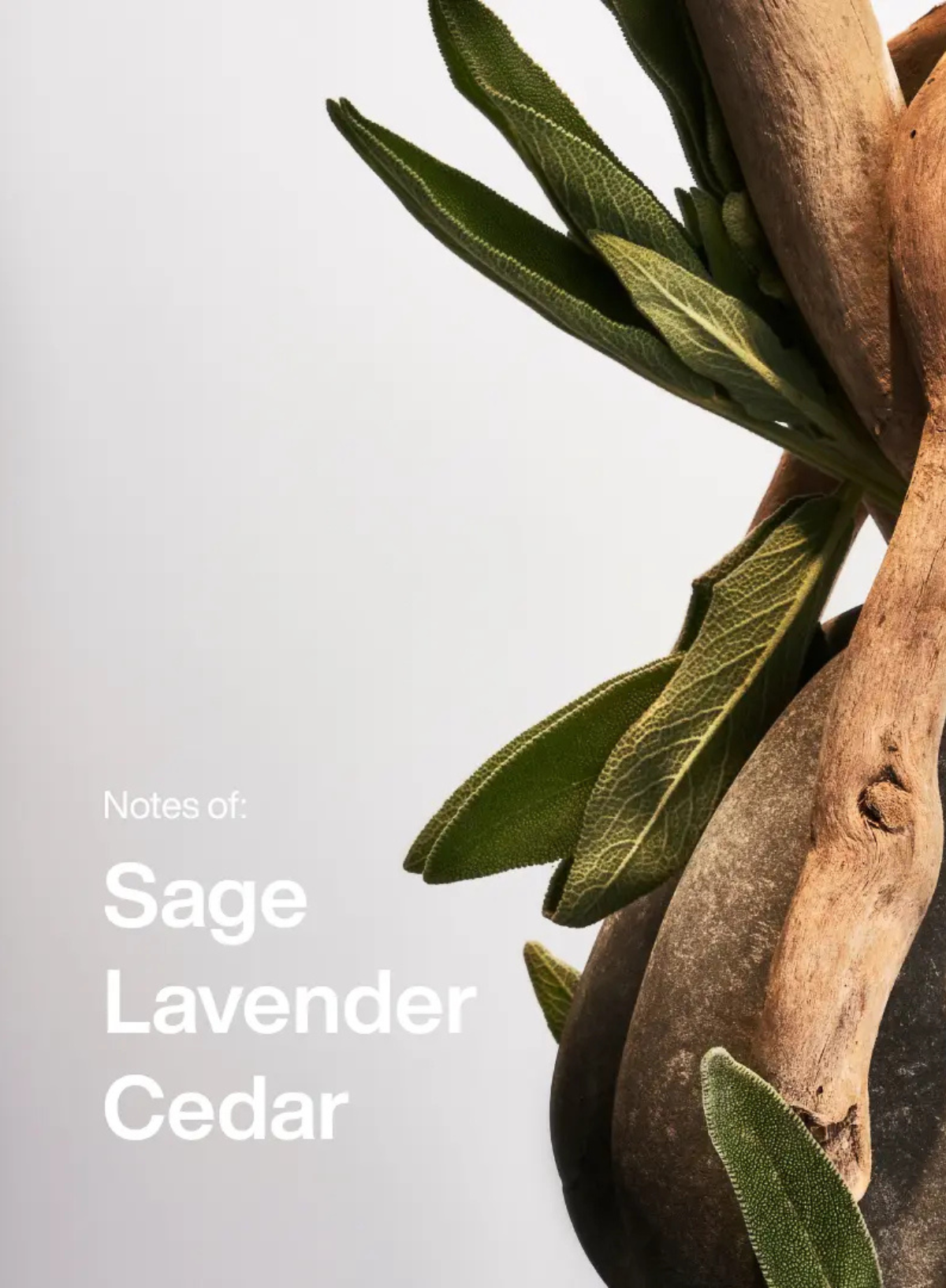 ManCave Nordic Spa Eau De Toilette Spray 50ml