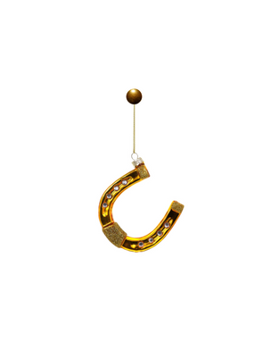 Horseshoe from Cody Foster