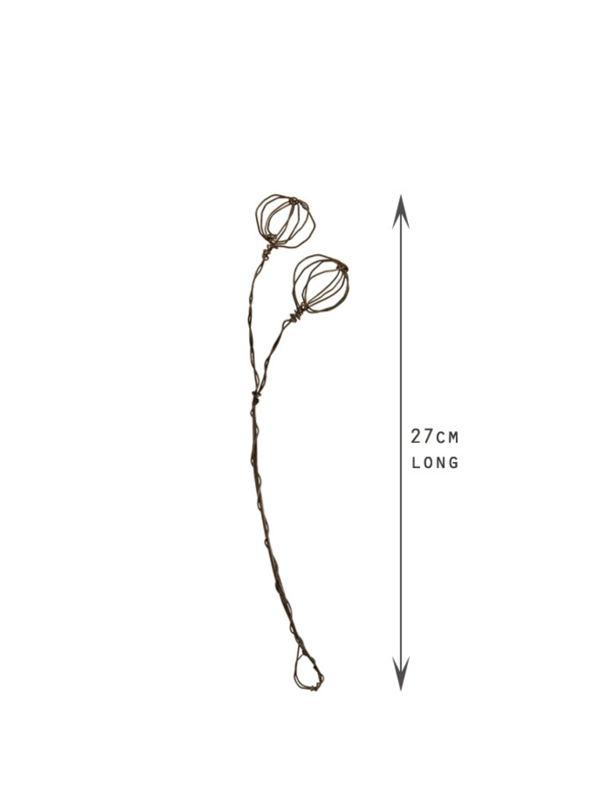 East of India Rusty wire sprig Large Berries