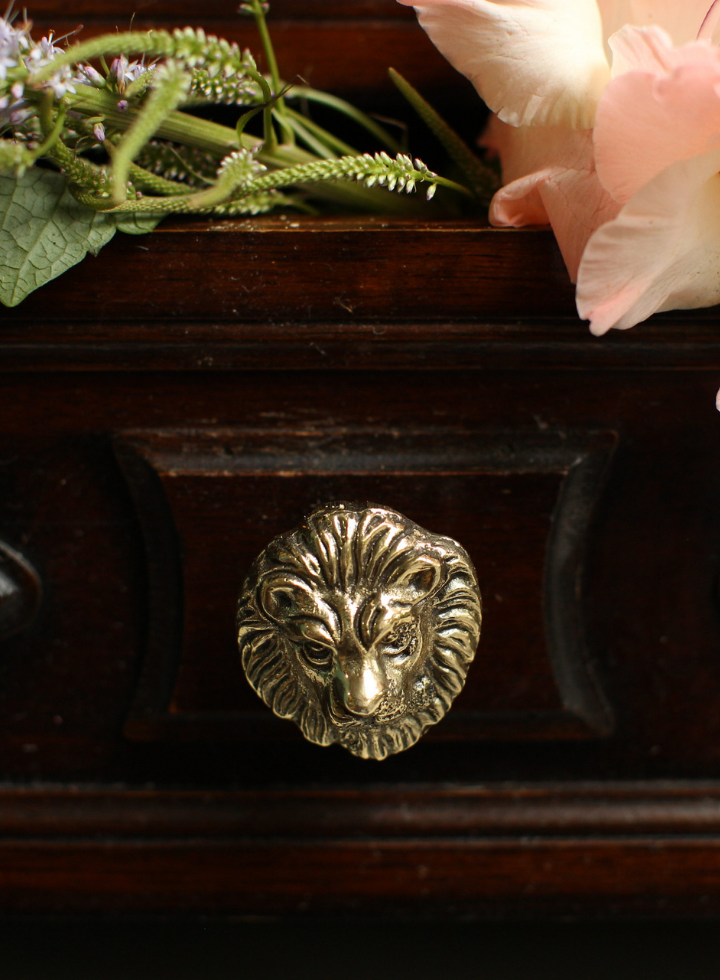 Lovesome Lion Knob from Doing Goods