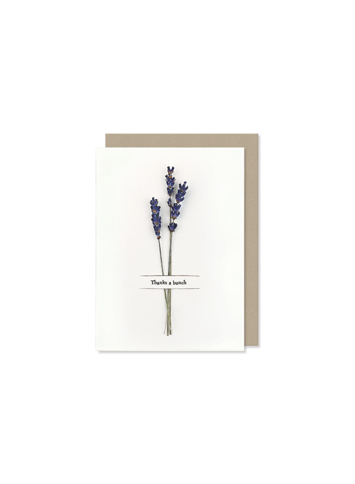East of India Dried flower card Thanks a bunch