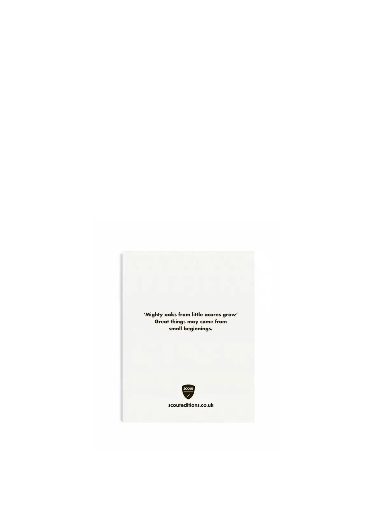 Acorn Mini Card from Scout Editions