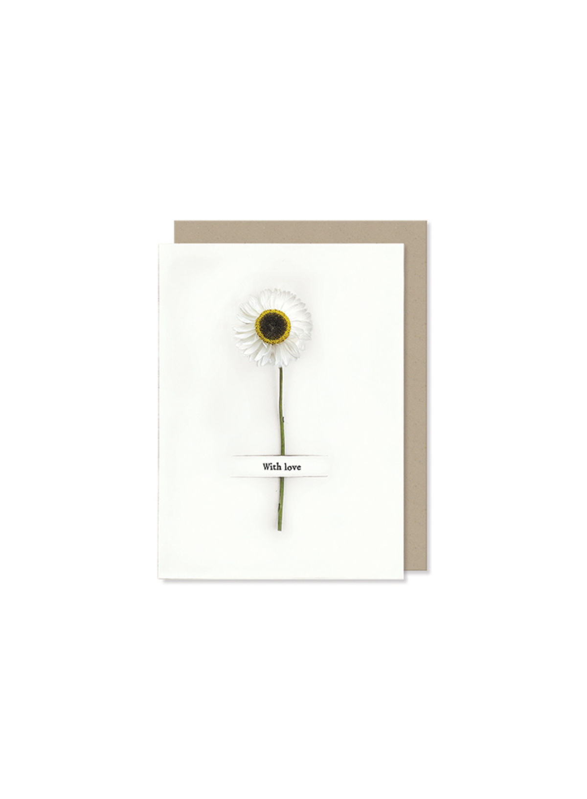 East of India Dried flower card With love