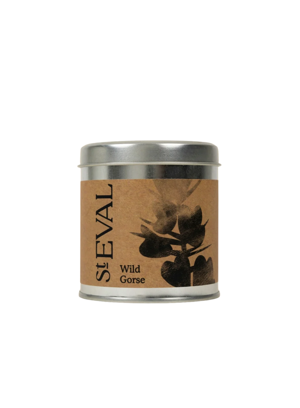 St Eval Scented Tin Candle - Wild Gorse