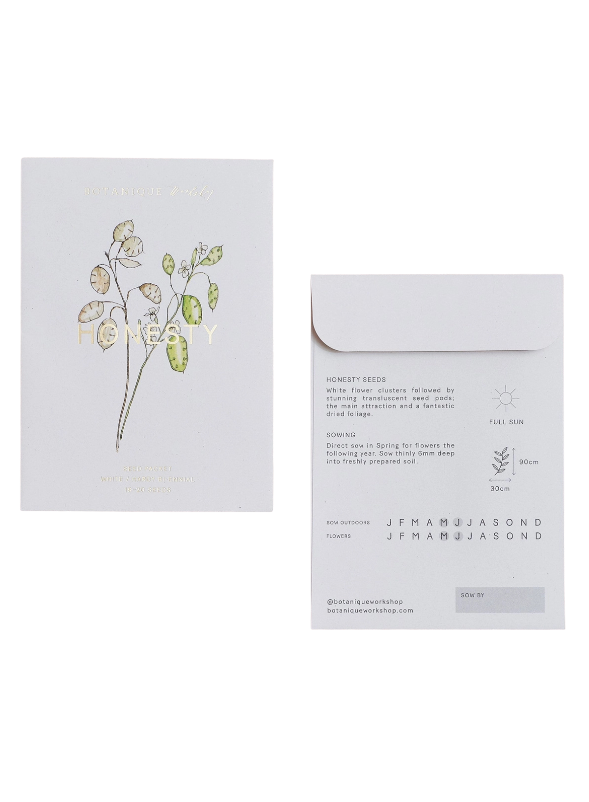 Botanique Workshop Honesty Seed Packet
