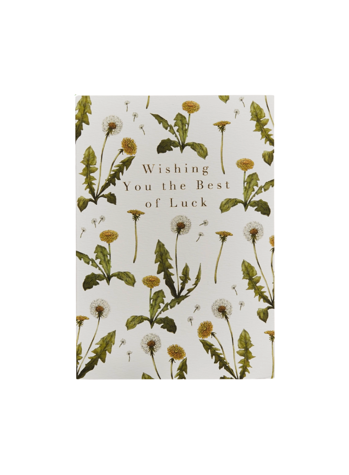 Catherine Lewis Cottage Garden Wishing You Best of Luck Card