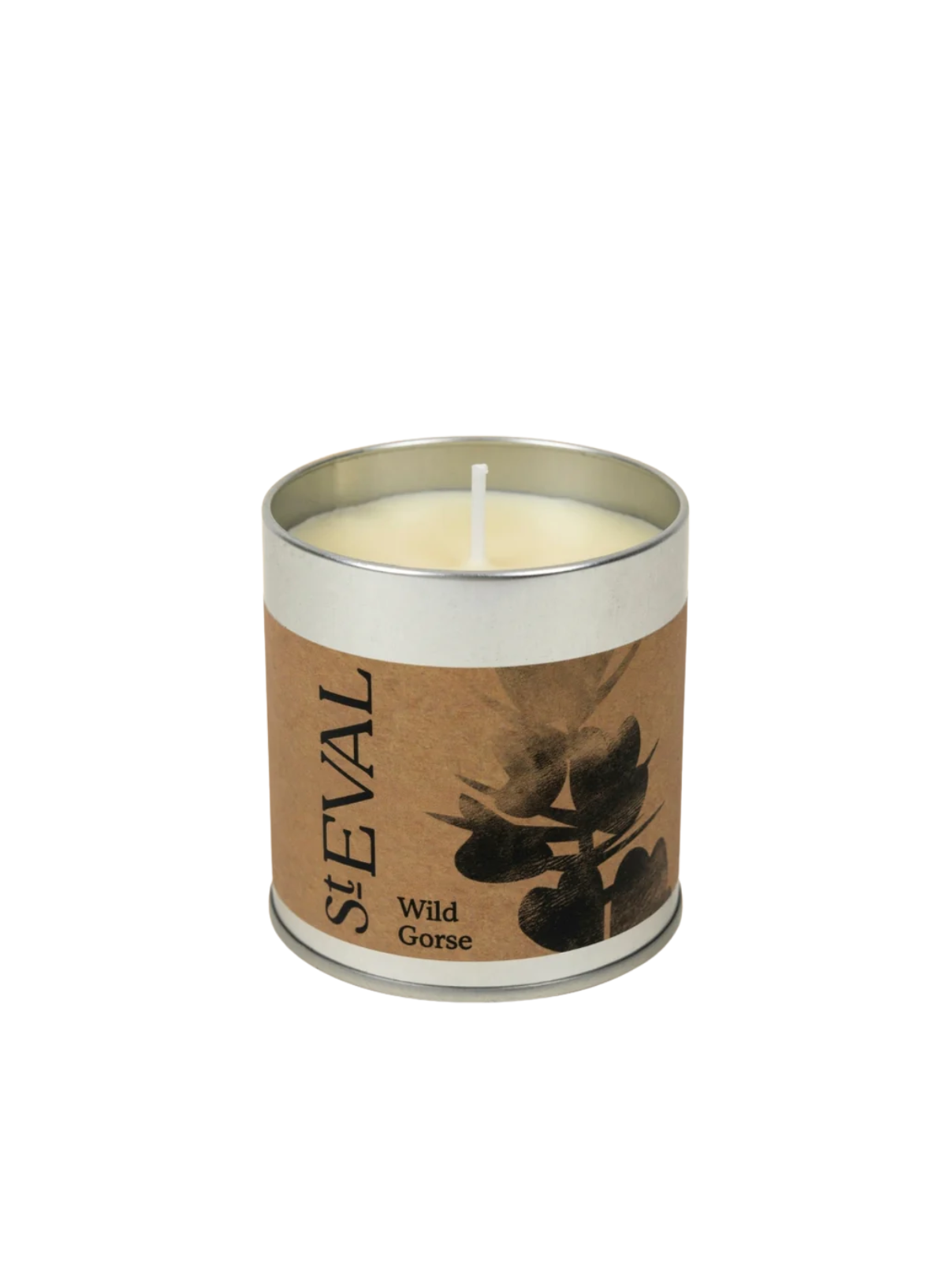 St Eval Scented Tin Candle - Wild Gorse