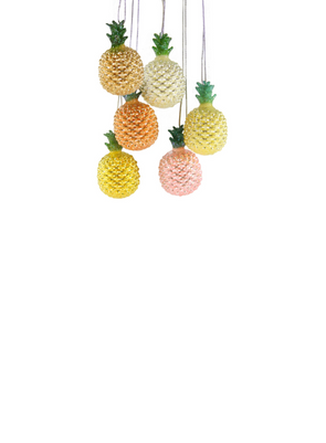 Tiny Pineapple from Cody Foster