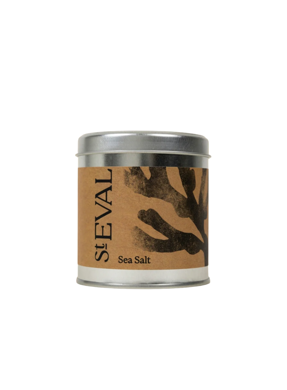 St Eval Scented Tin Candle - Sea Moss & Driftwood