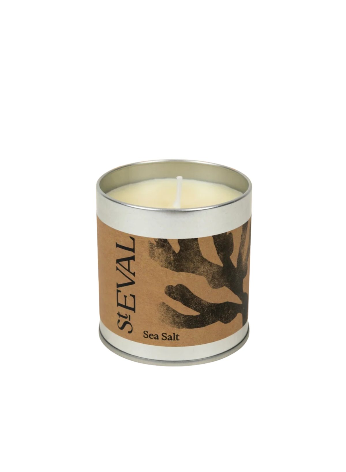 St Eval Scented Tin Candle - Sea Moss & Driftwood