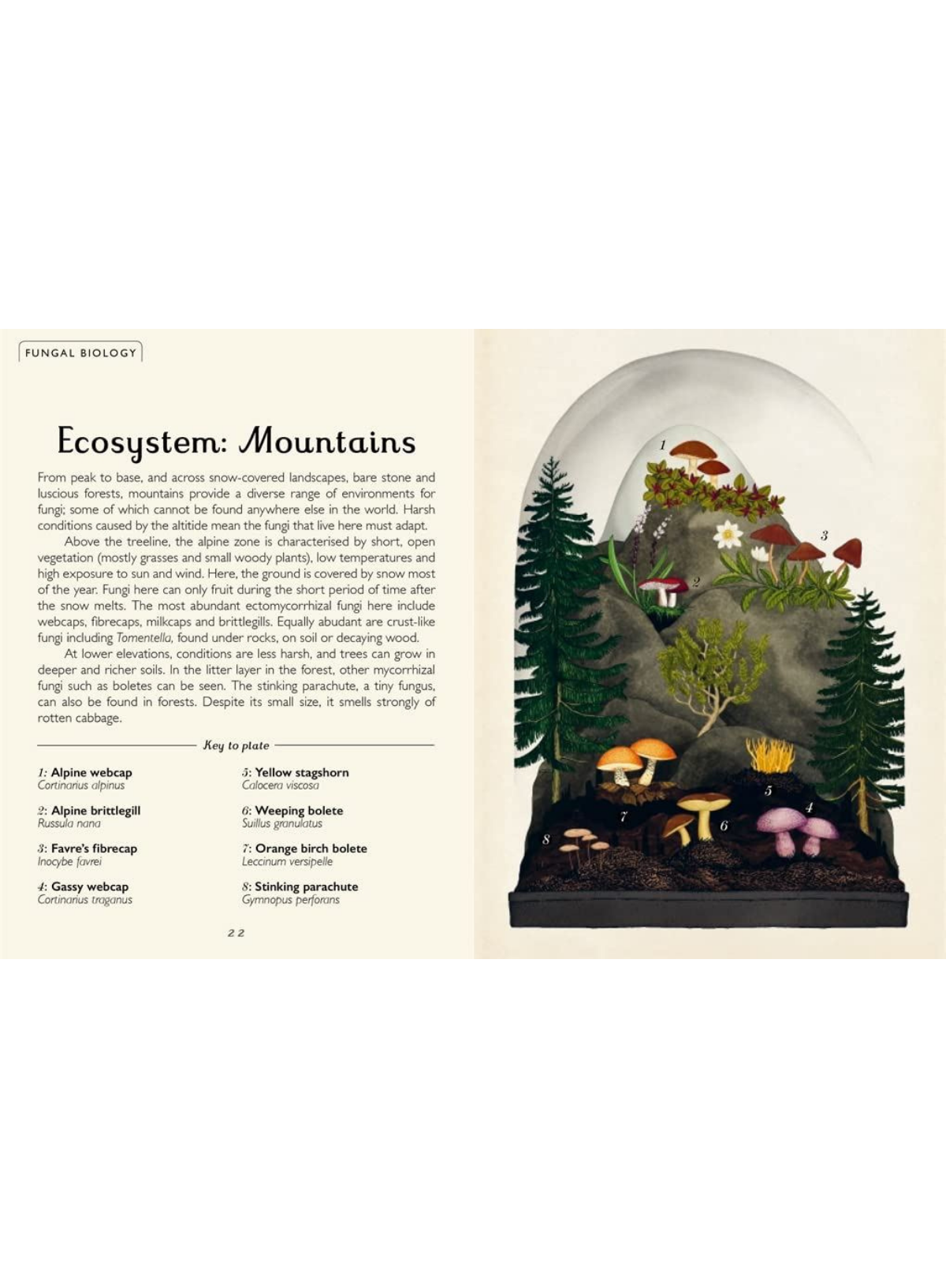 Fungarium (Mini Gift Edition)