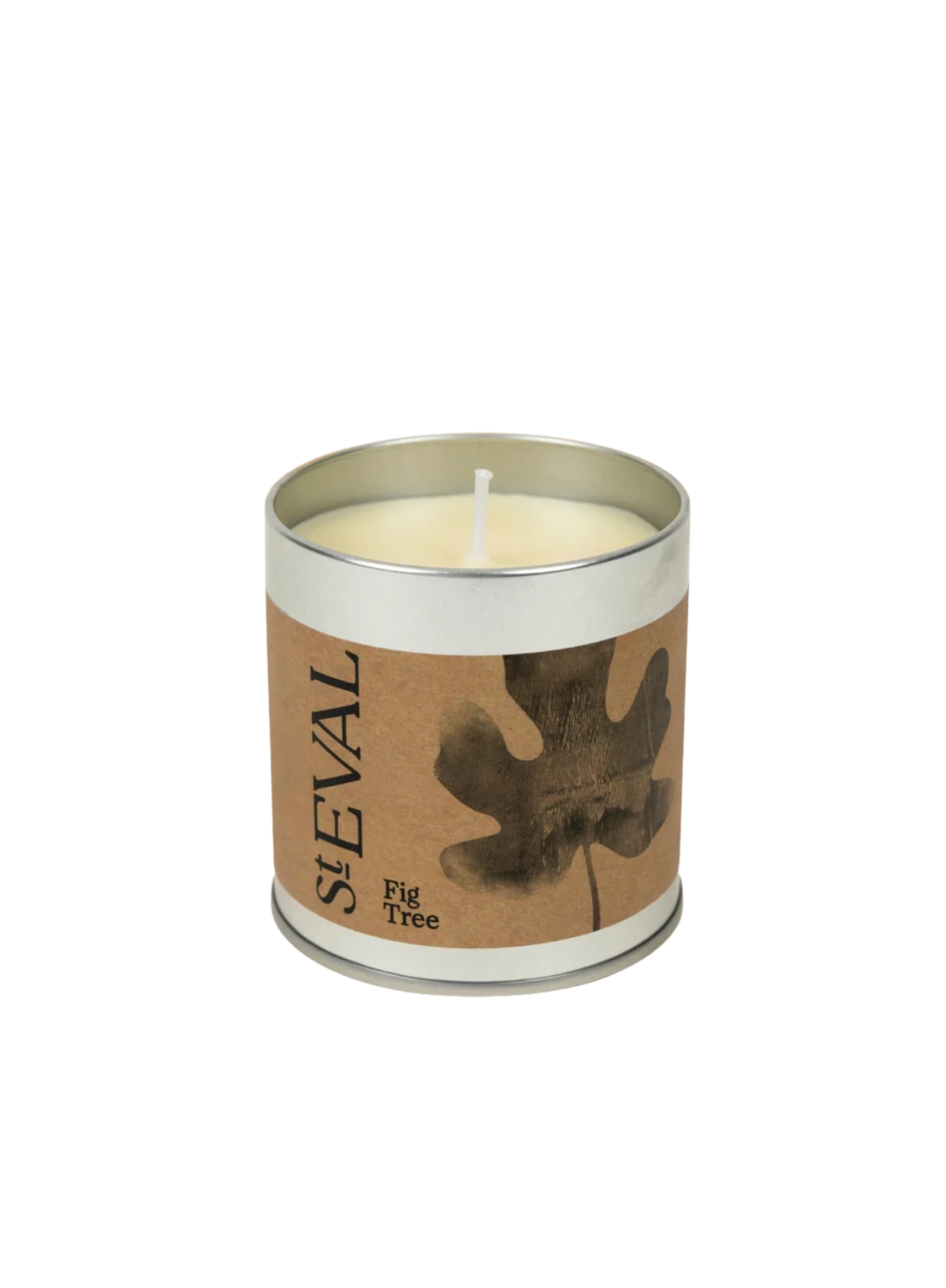 St Eval Scented Tin Candle - Fig Tree