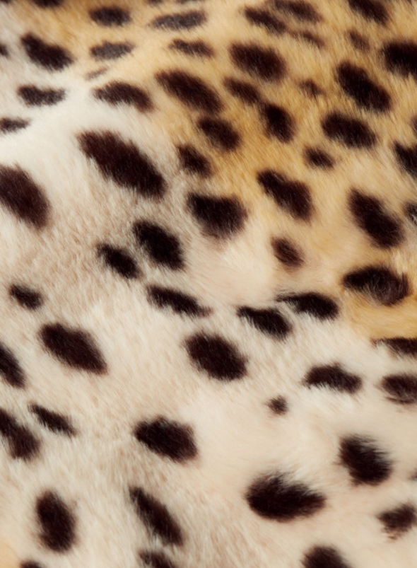 Patti Coat Midi Cheetah Fur in Ivory from King Louie