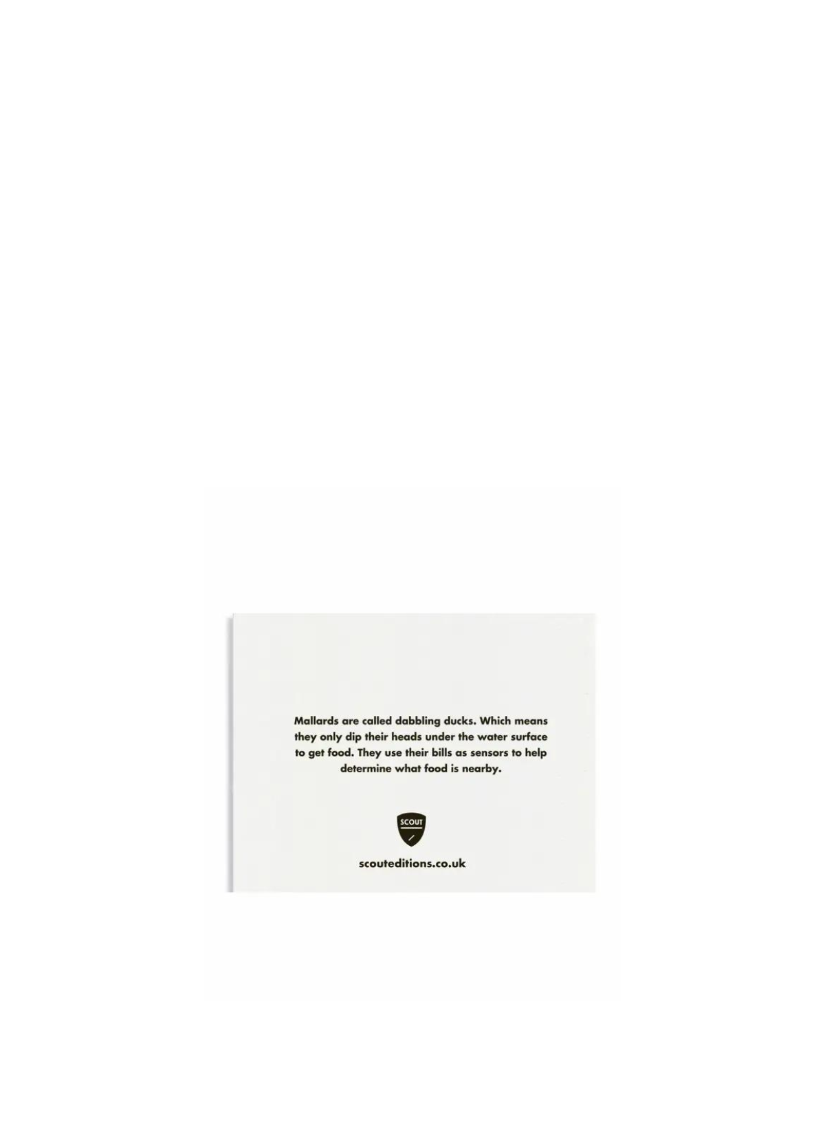 Mallard Mini Card from Scout Editions