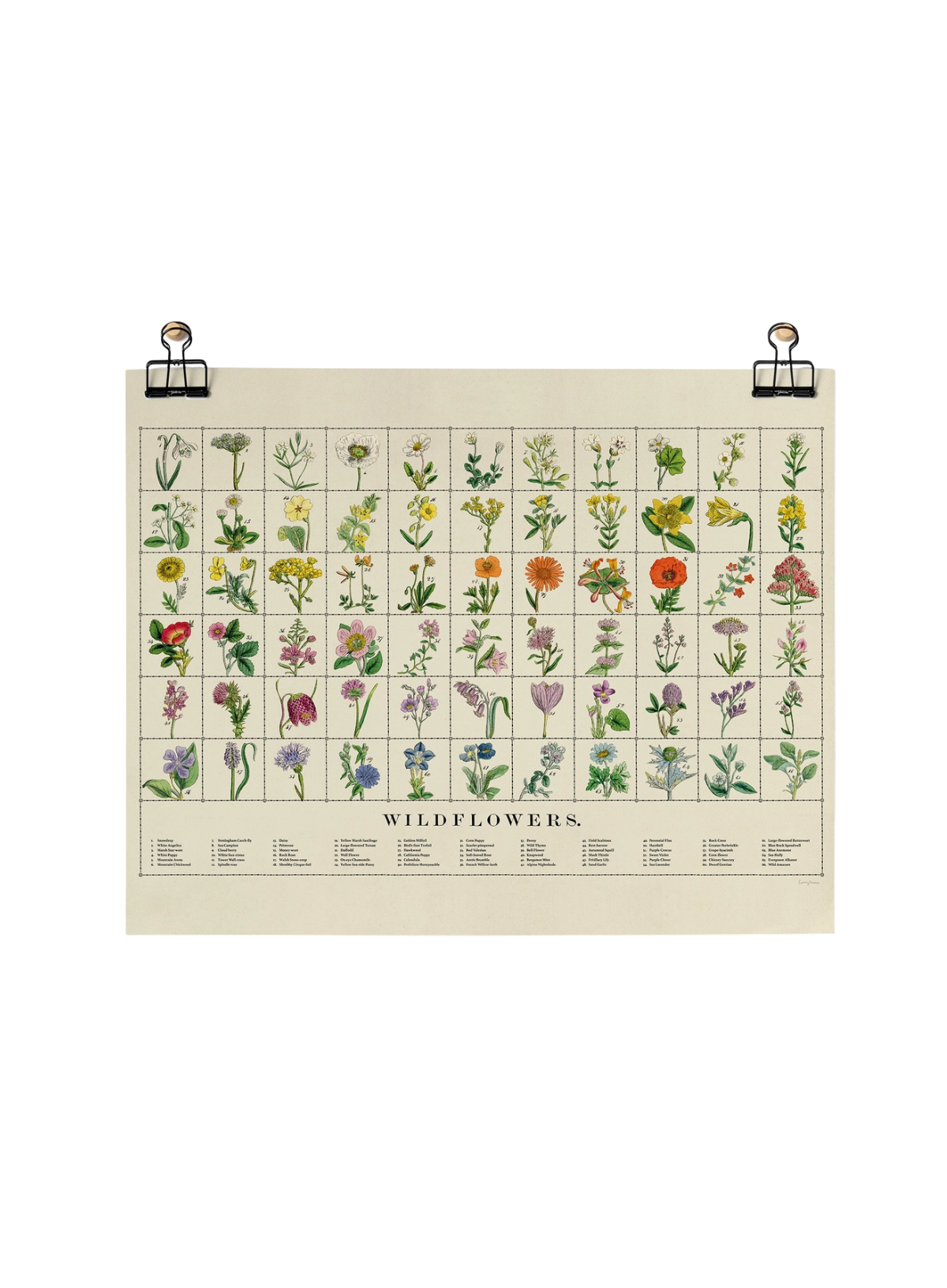 Roomytown Wildflowers Fine Art Print Unframed A3