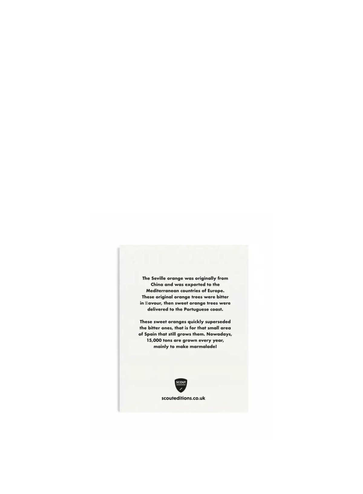 Seville Oranges Mini Card from Scout Editions