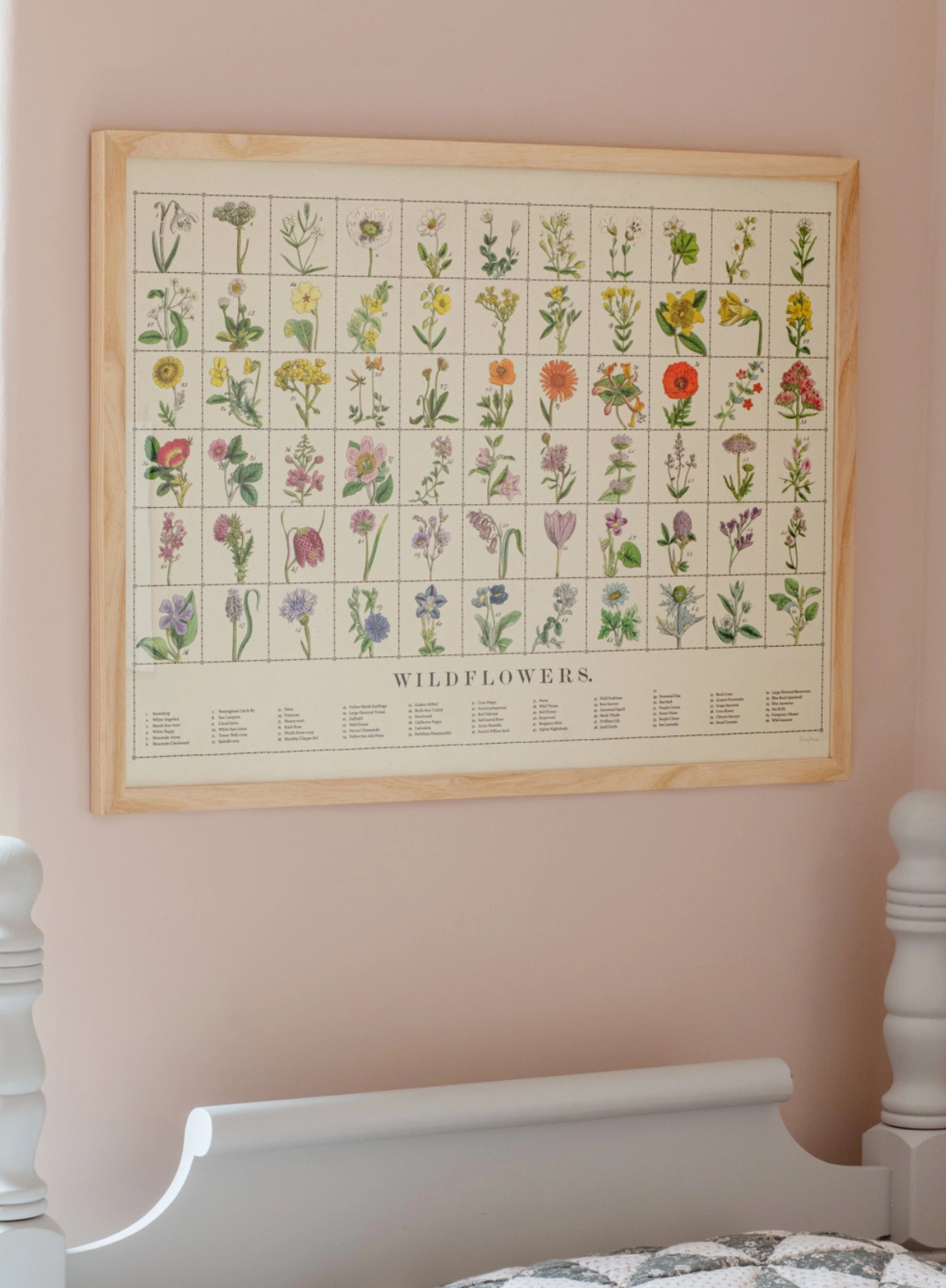 Roomytown Wildflowers Fine Art Print Unframed A3