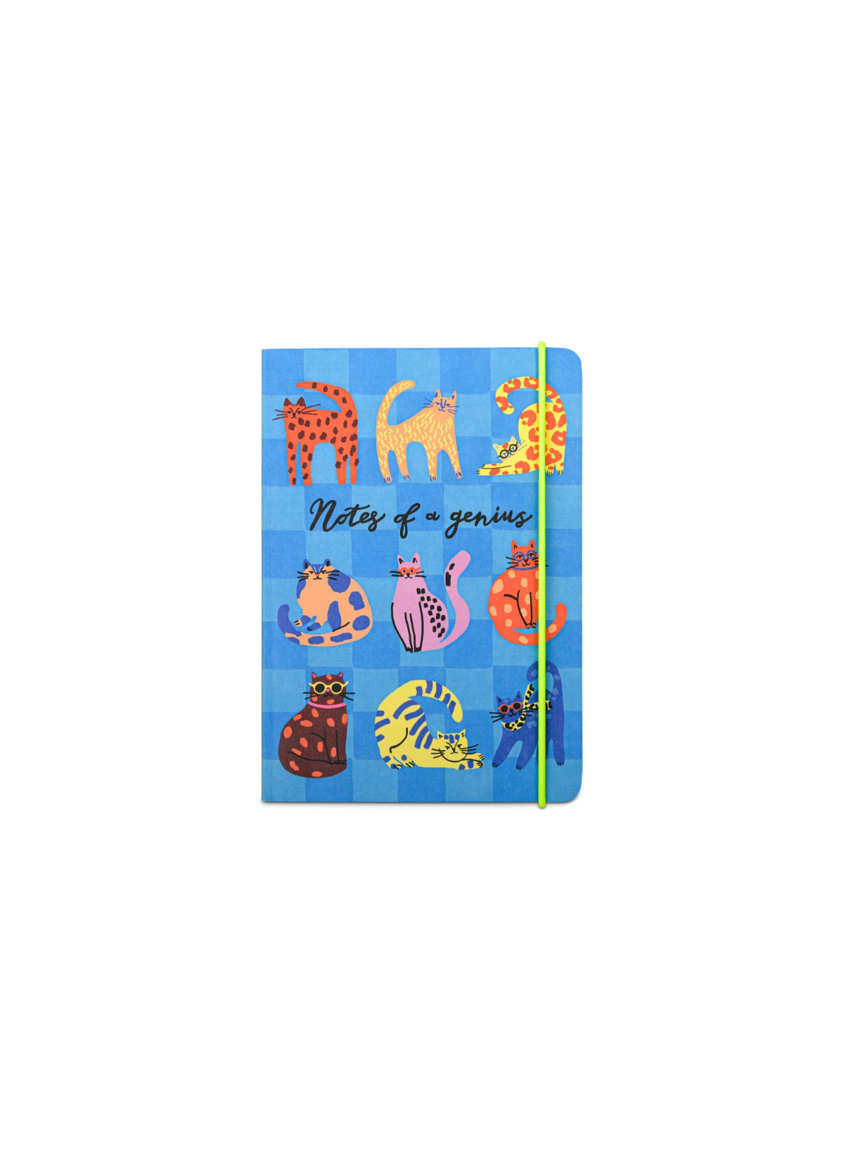Designworks Ink Hijinx Notebook Notes Of A Genius