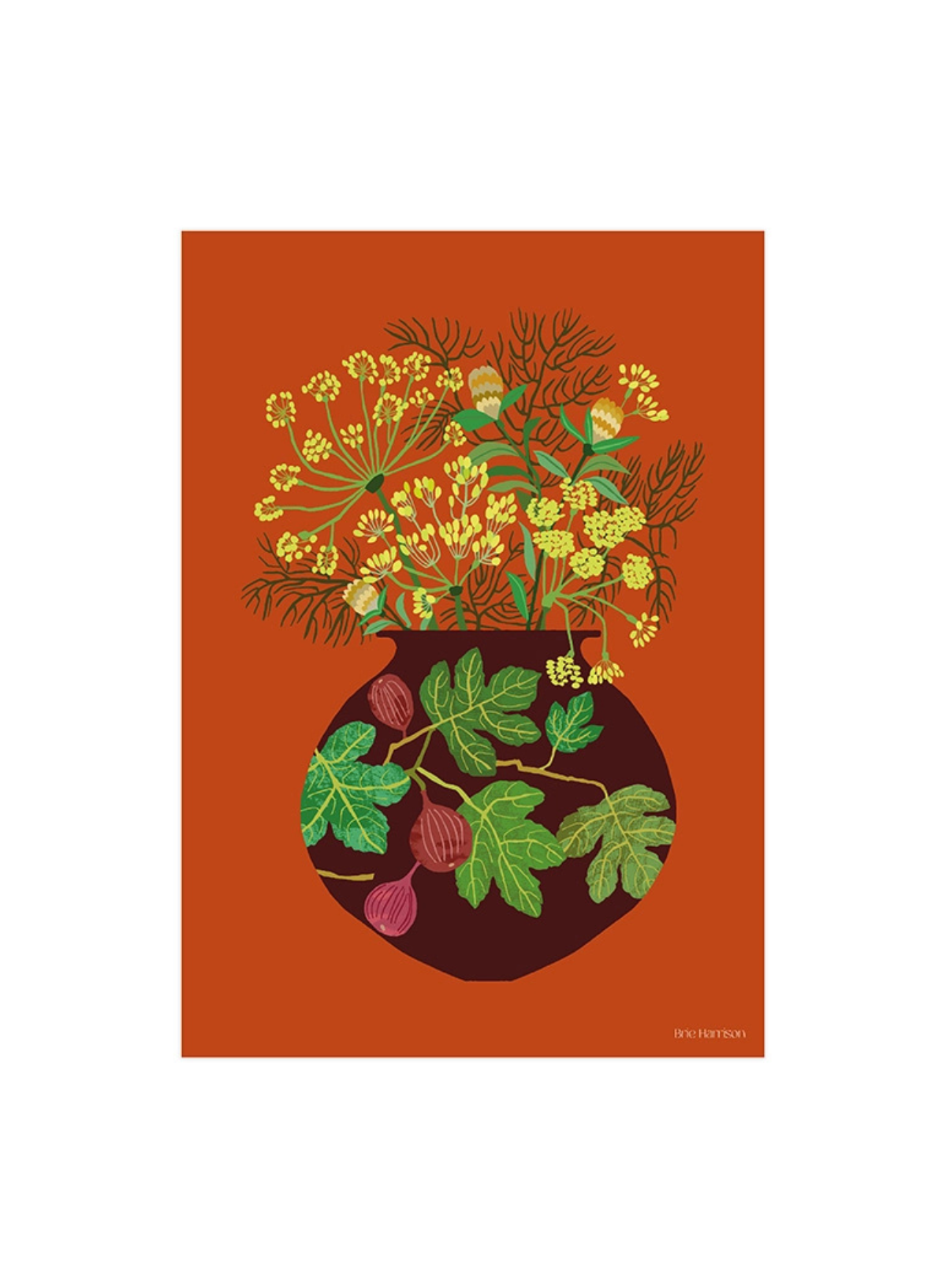 Brie Harrison Fennel Print A4