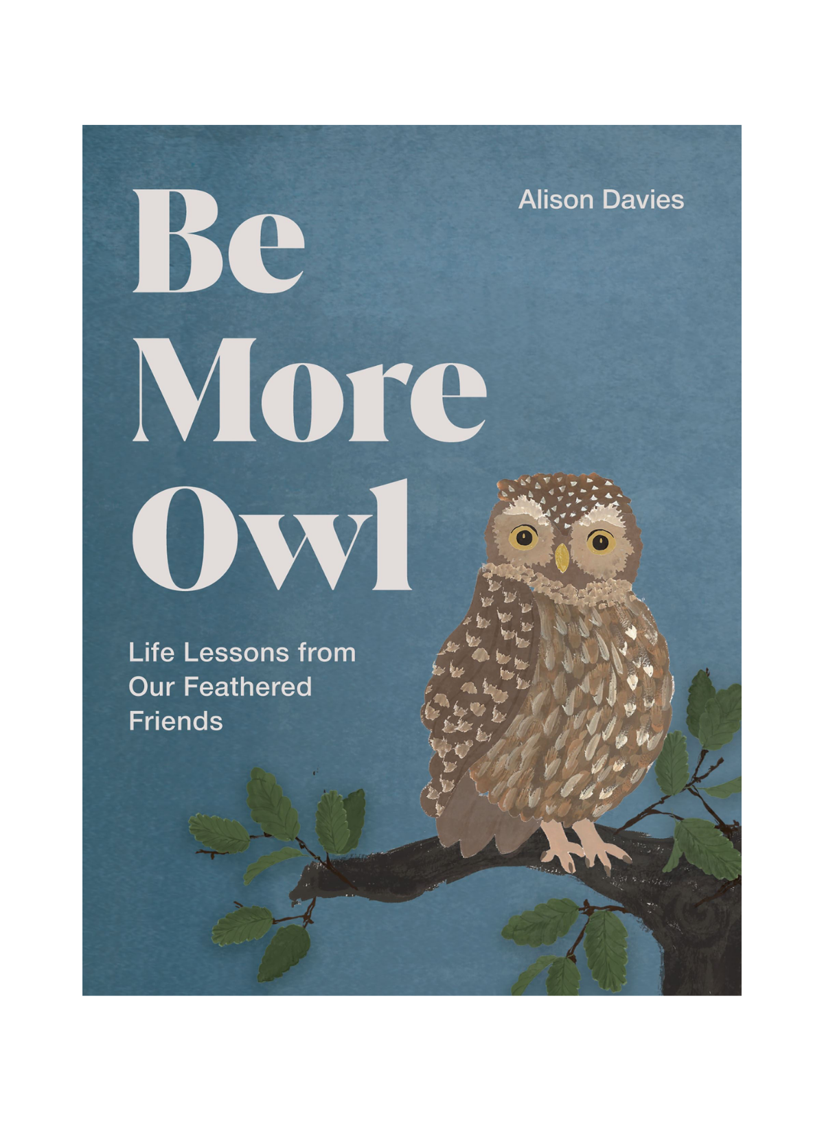 Be More Owl: Life Lessons (HB)