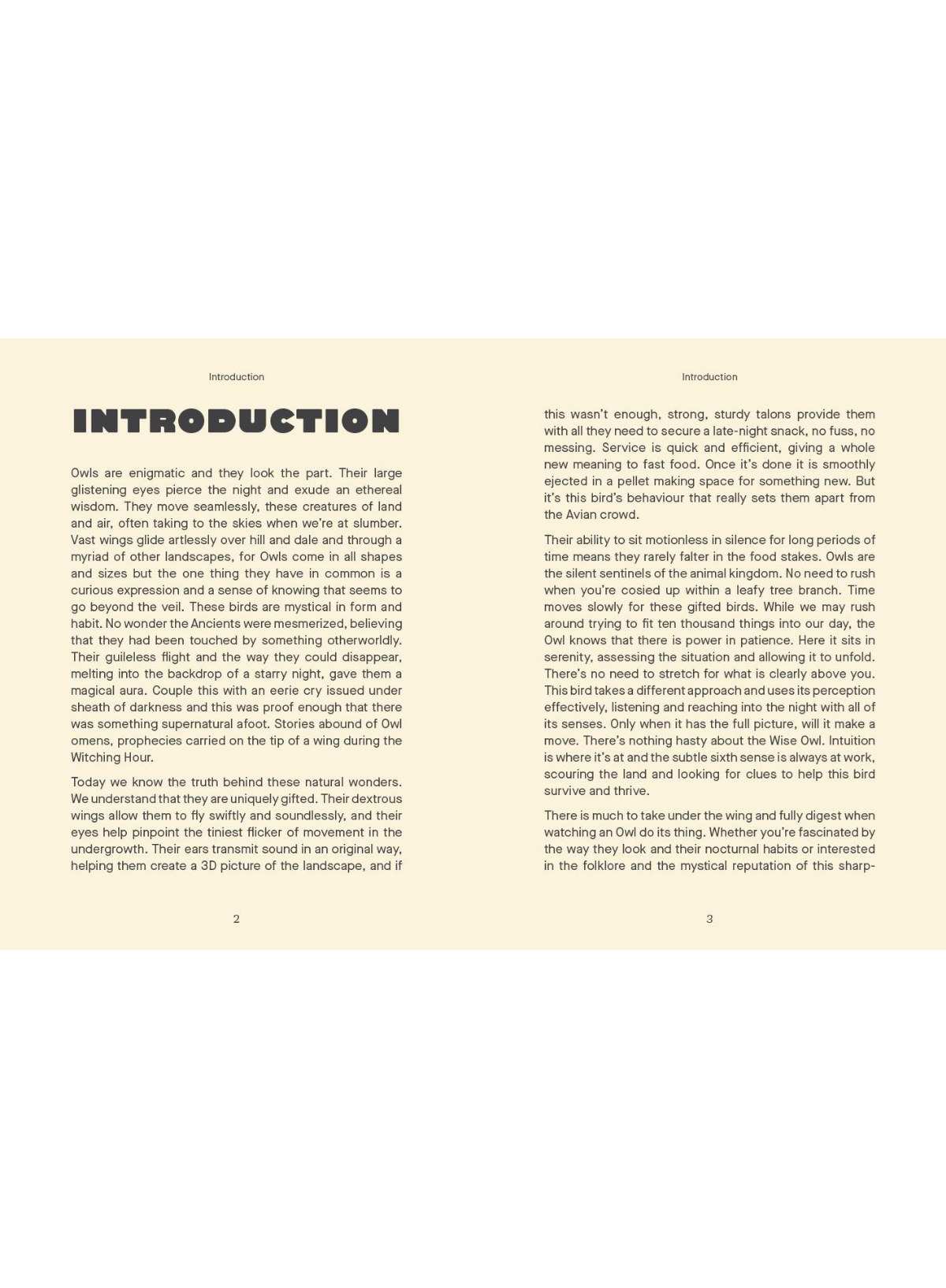 Be More Owl: Life Lessons (HB)