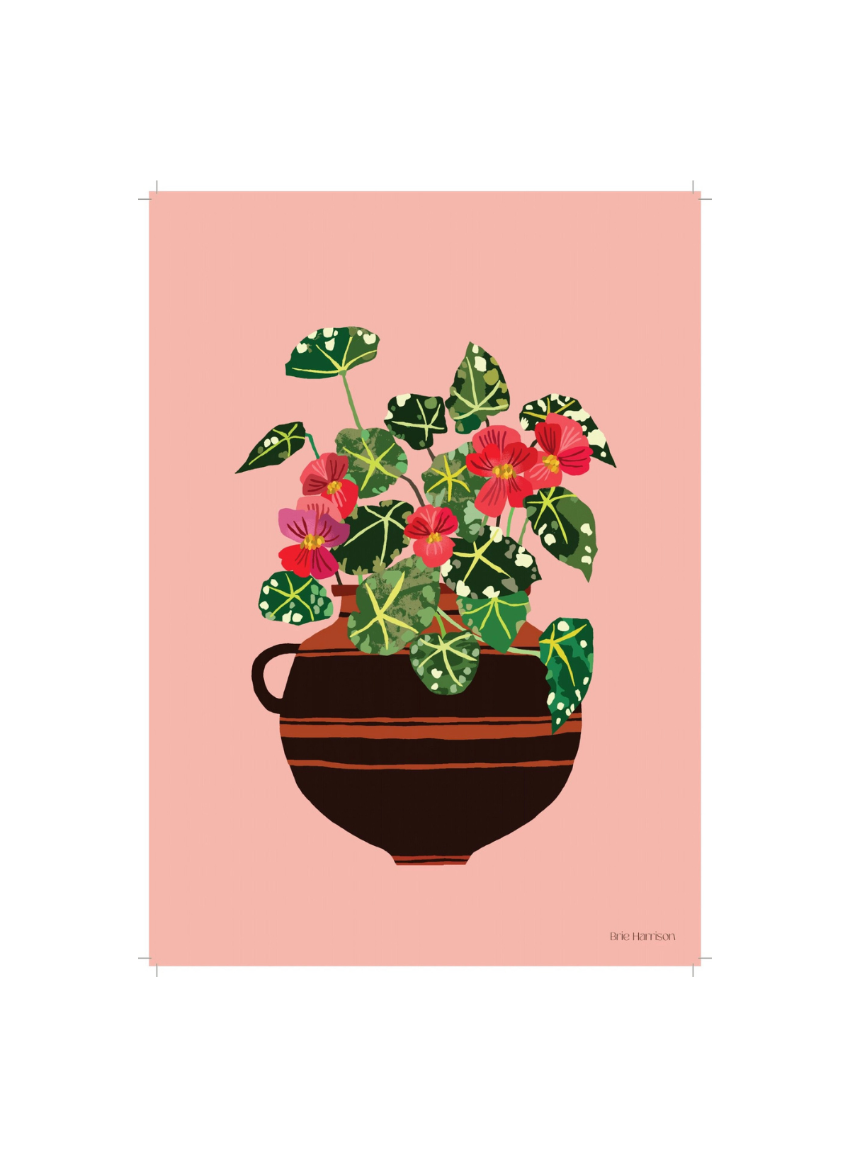 Brie Harrison Begonia Print A4