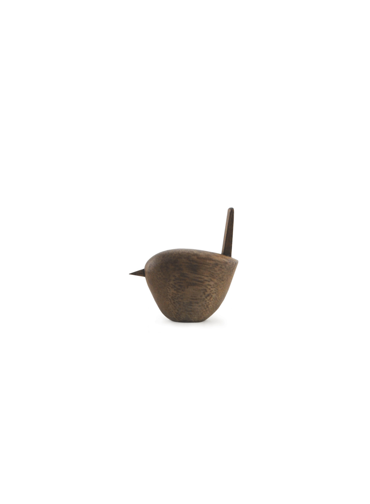 East of India Black Wood Wren