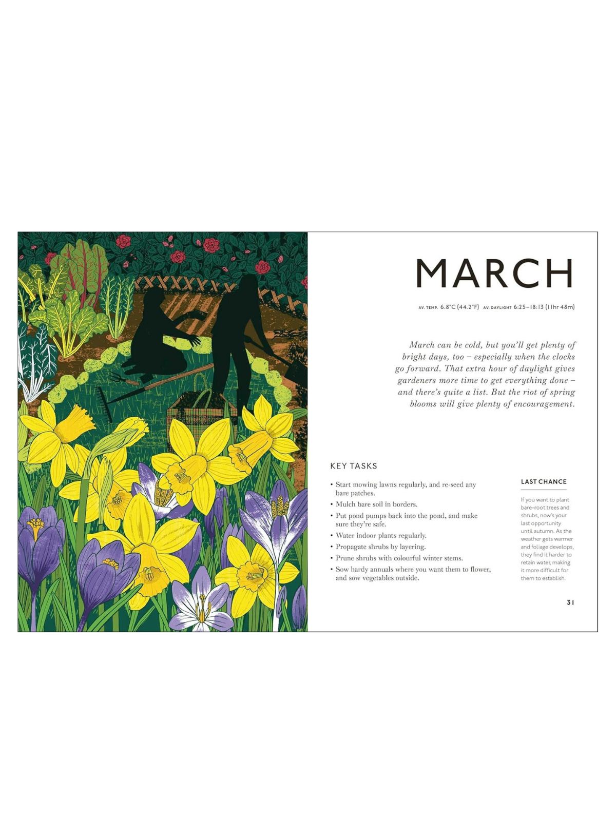 Your Gardening Year: What to Do When (HB)
