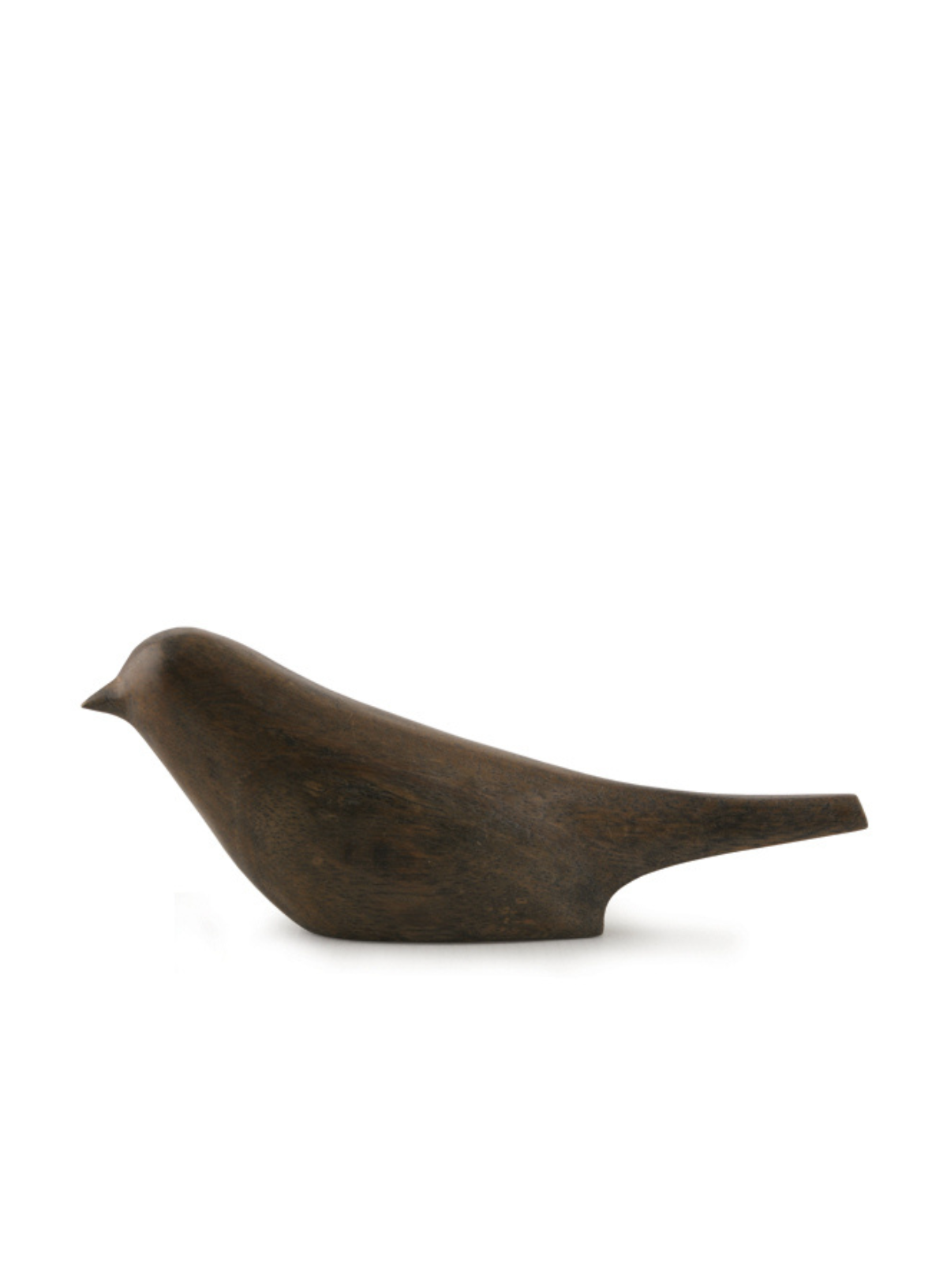 East of India Black Wood Dove