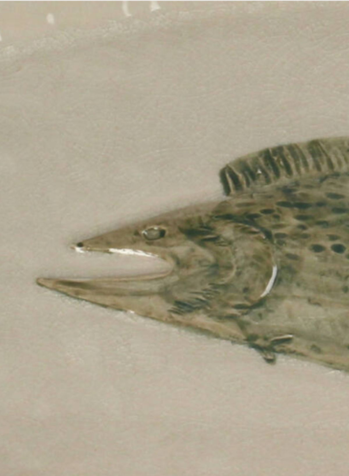 Kersten Fish Plate in Green