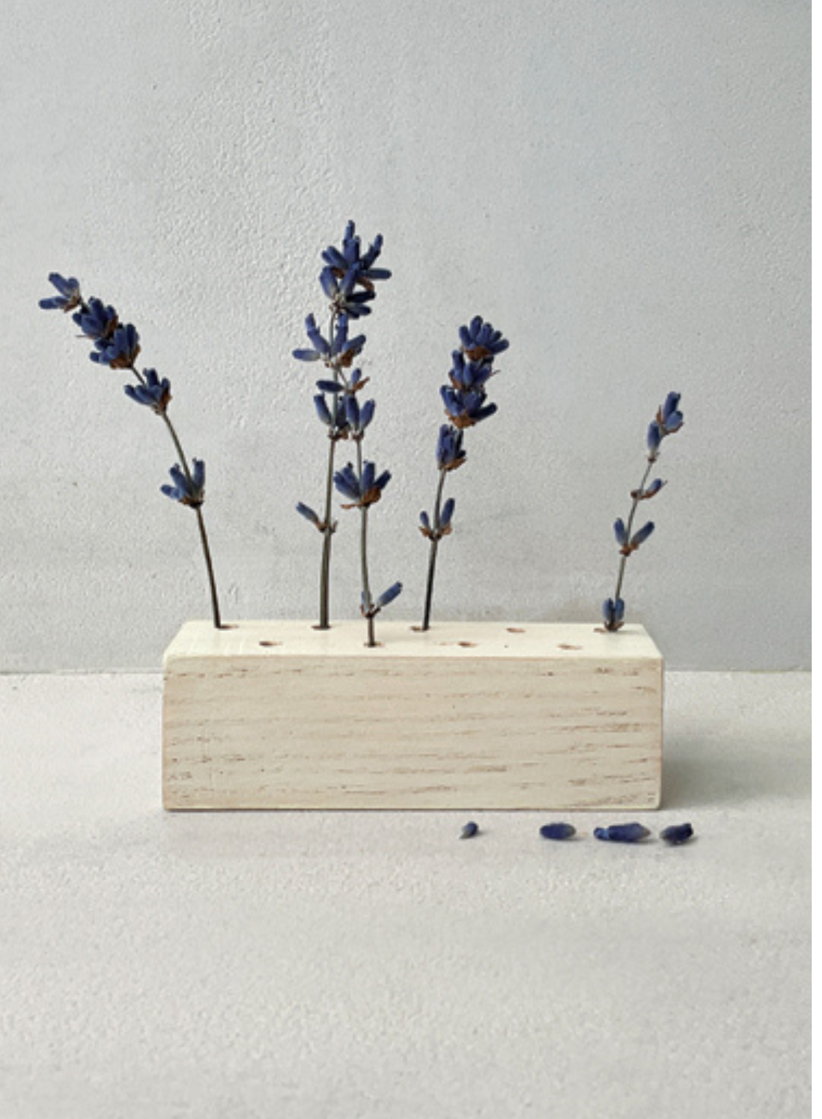East of India Plain Small flower bar