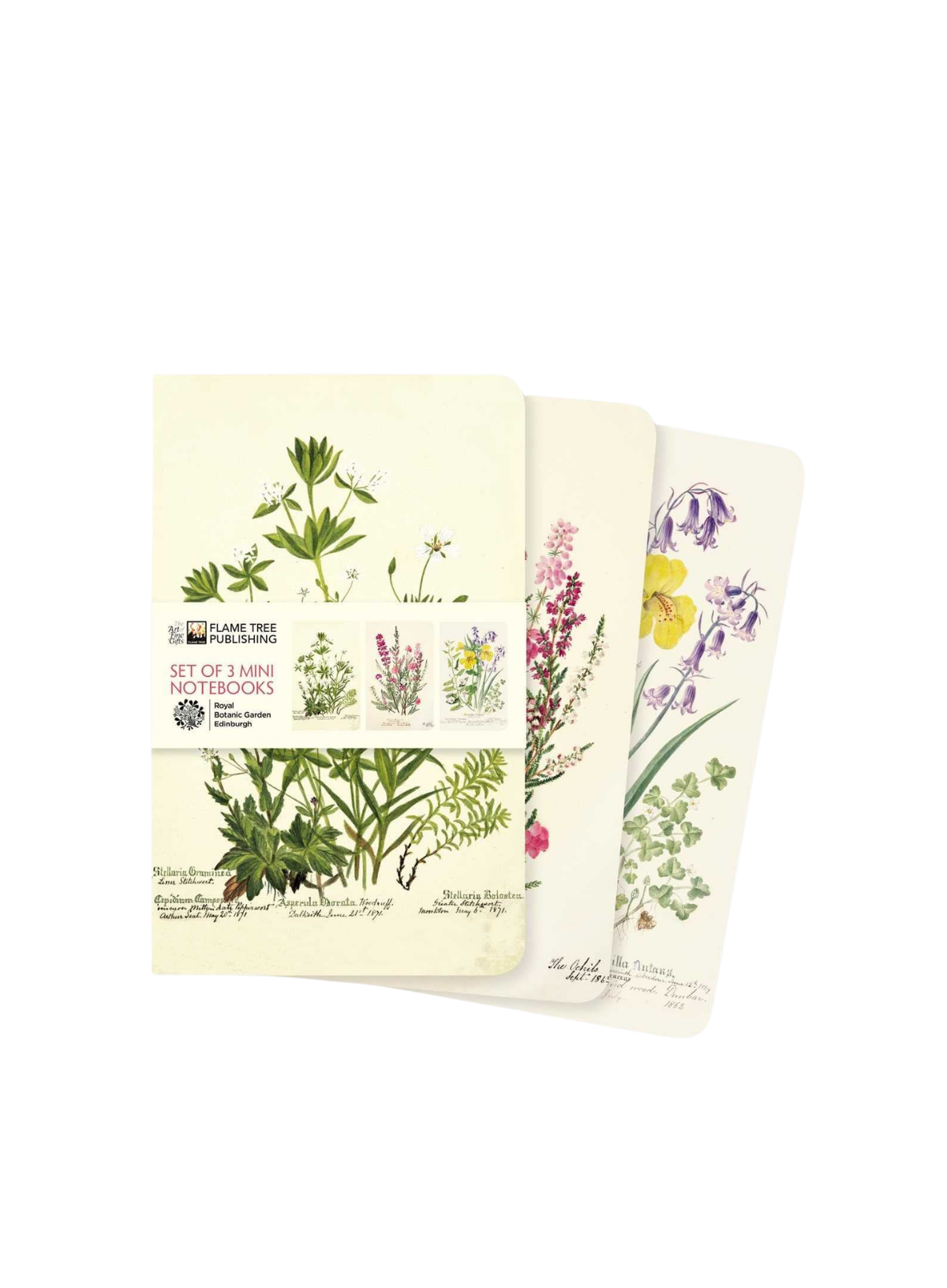 Royal Botanic Garden Edinburgh Mini Notebook Set