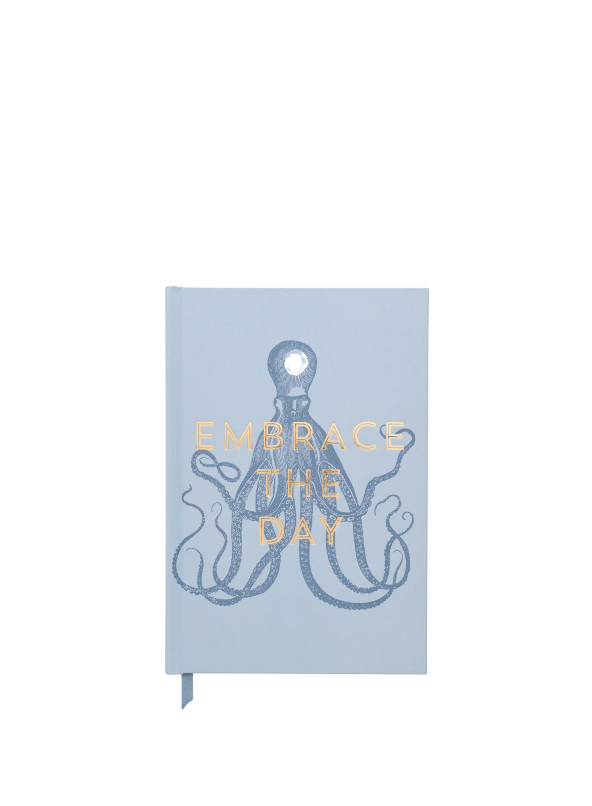 Vintage Sass Embrace the day Journal from Designworks Ink