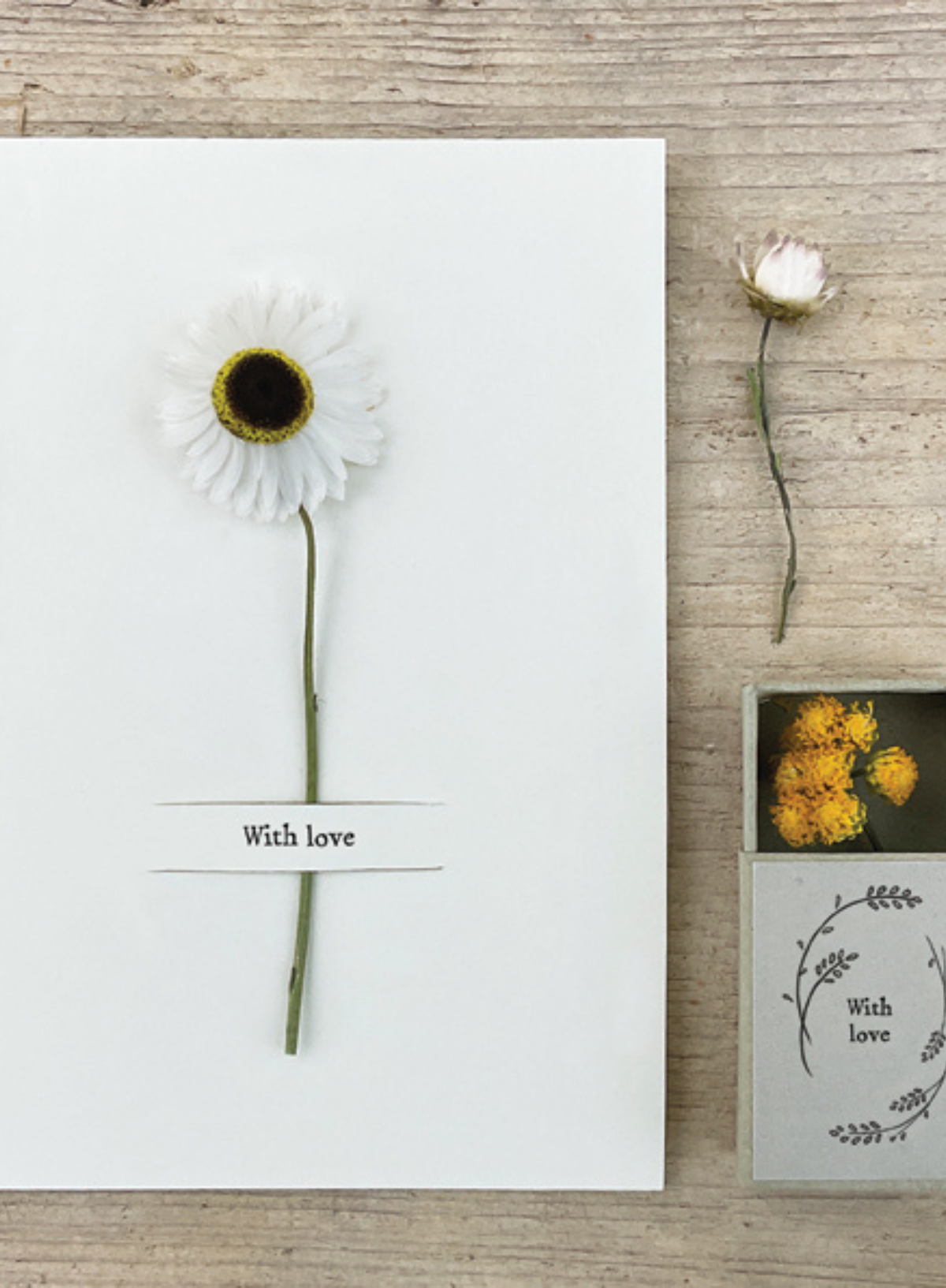 East of India Dried flower matchbox You are the friend