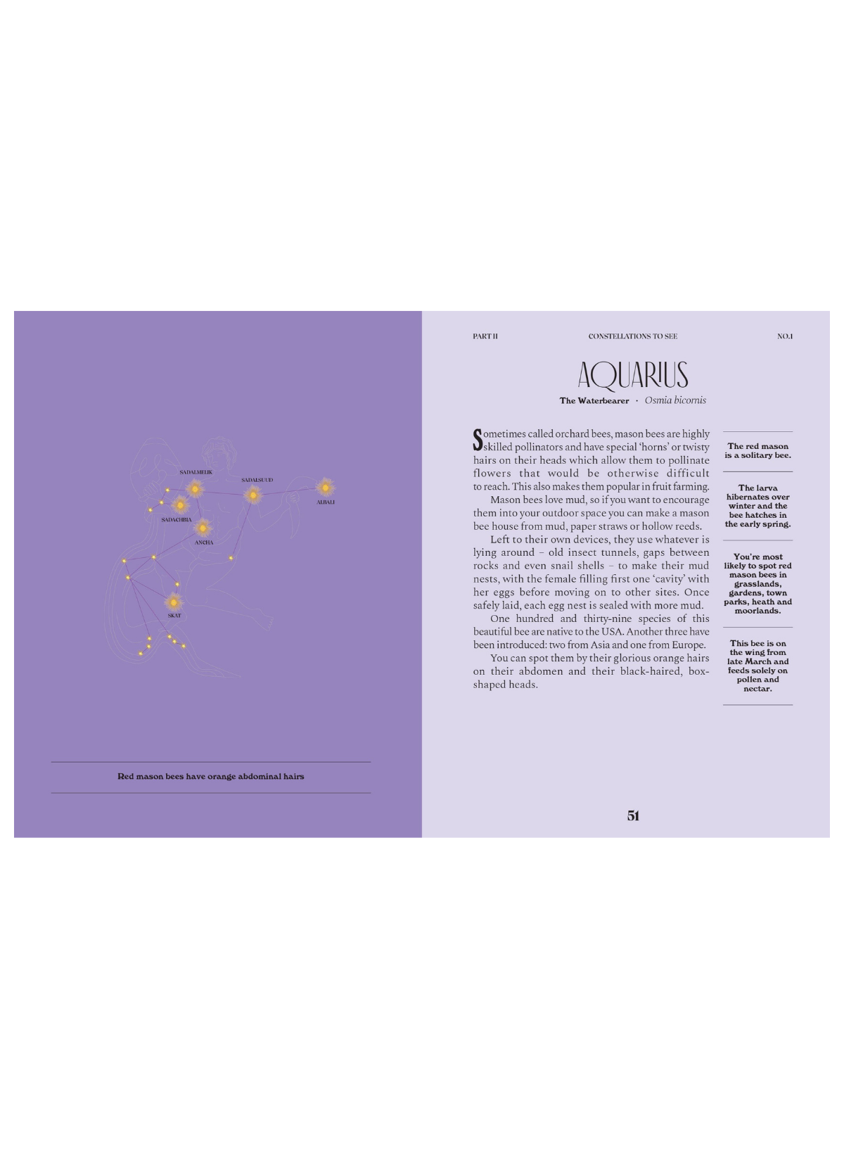Constellations: A Guide for the Curious (HB)