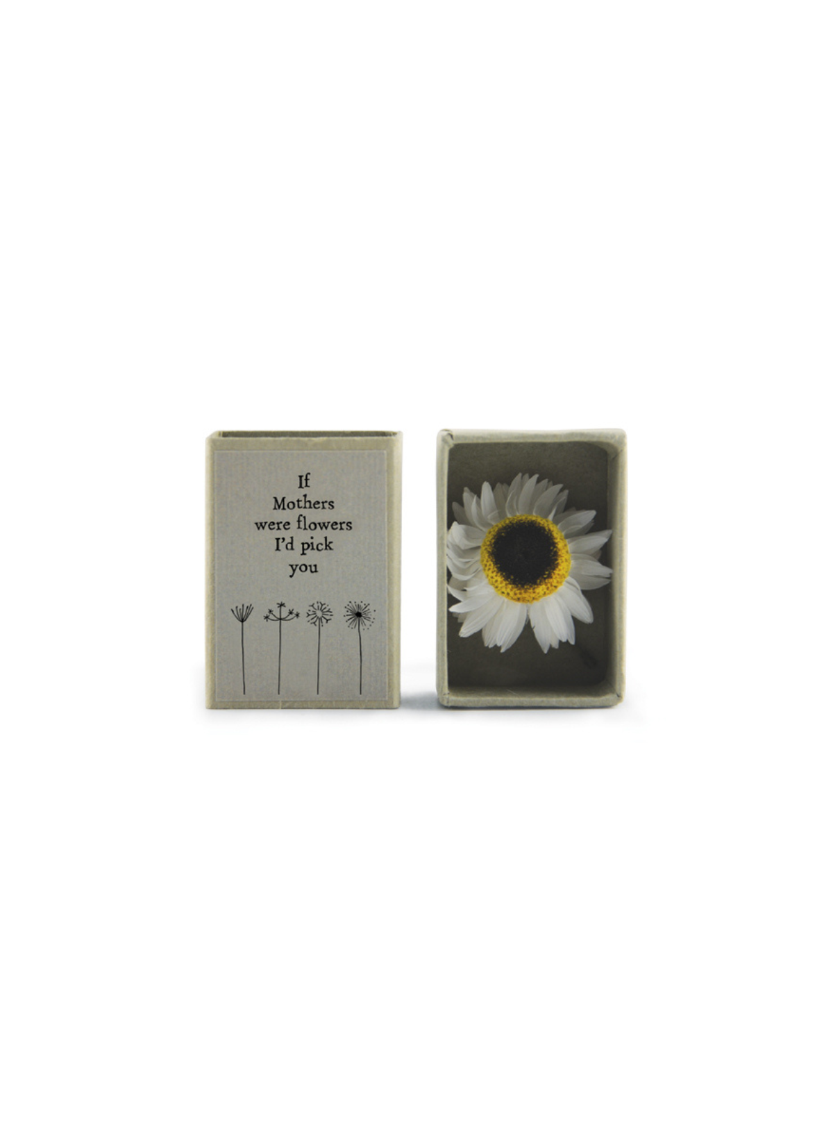 East of India Dried flower matchbox If mothers were flowers