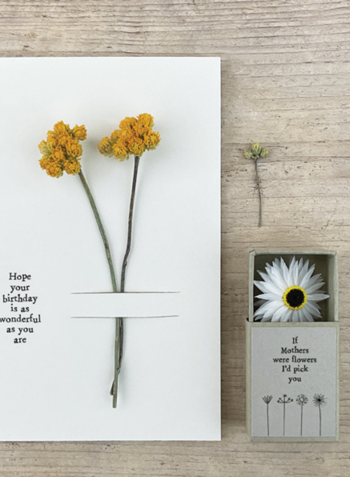East of India Dried flower matchbox If mothers were flowers