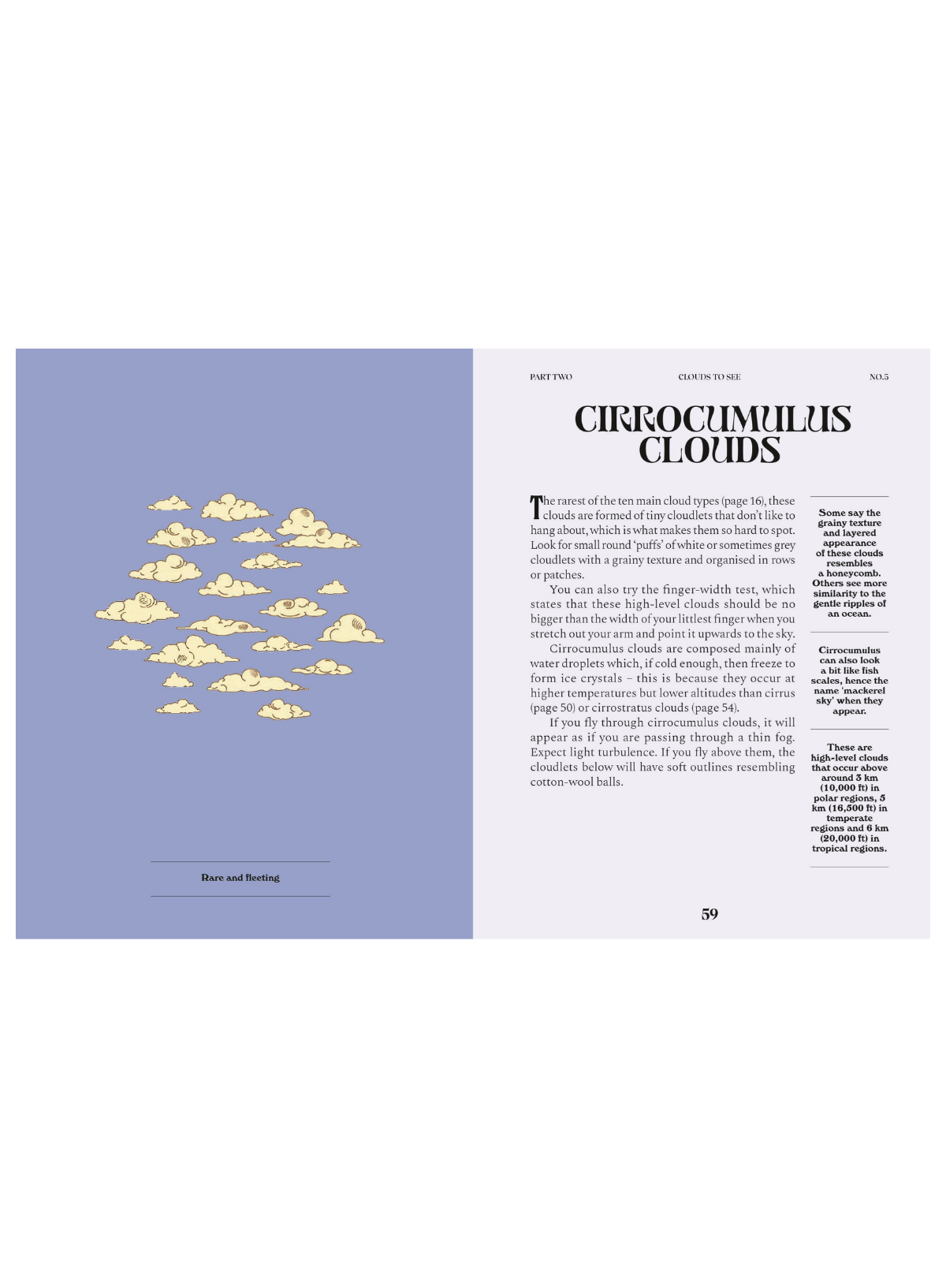 Clouds: A Guide for the Curious (HB)