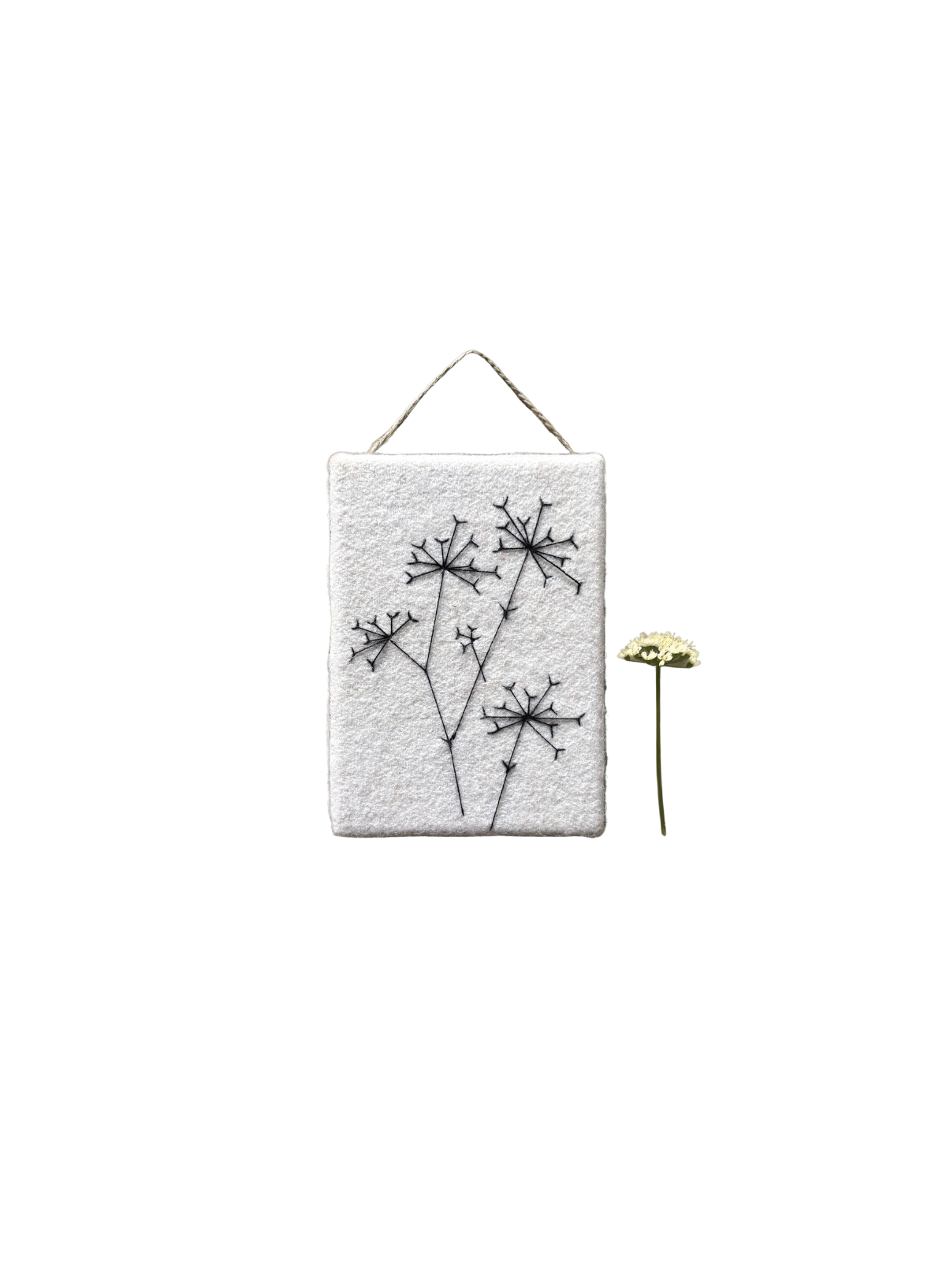 East of India Thread hanger Cow parsley