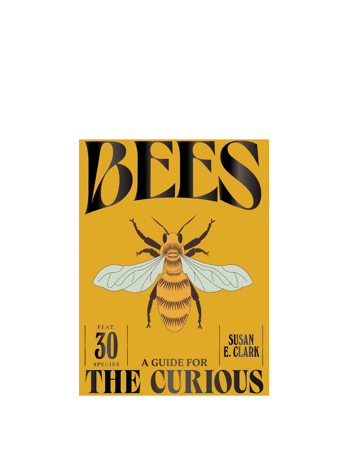 Bees: A Guide for the Curious (HB)