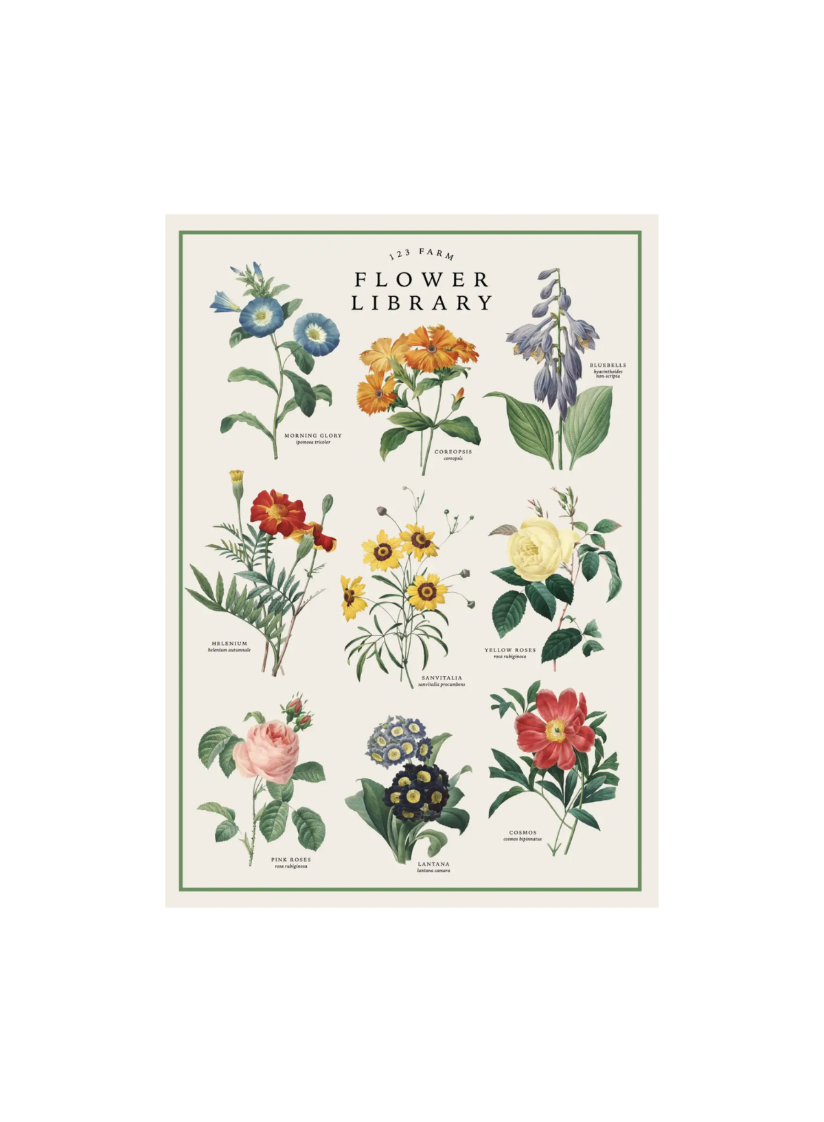 123 Farm Wrap - Vintage Posters - Flower Library