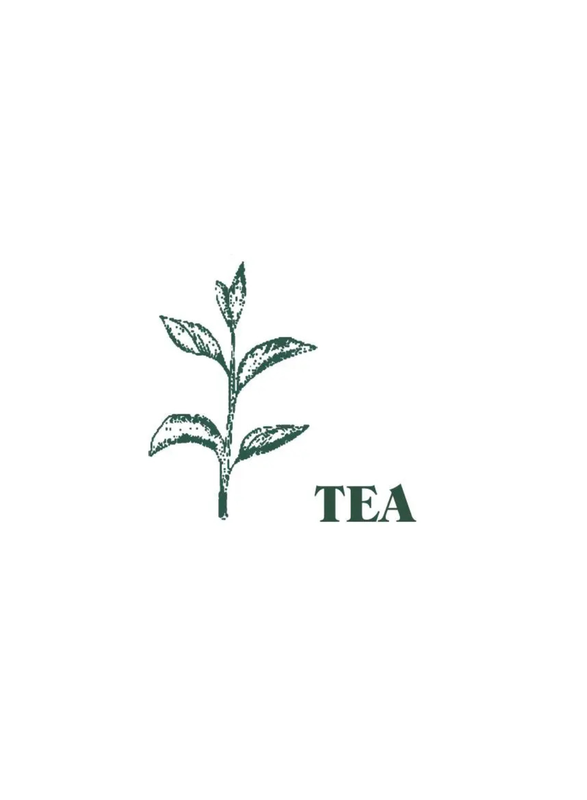 Heaven Scent Green Botanical Pack of 10 Incense Sticks in Tea