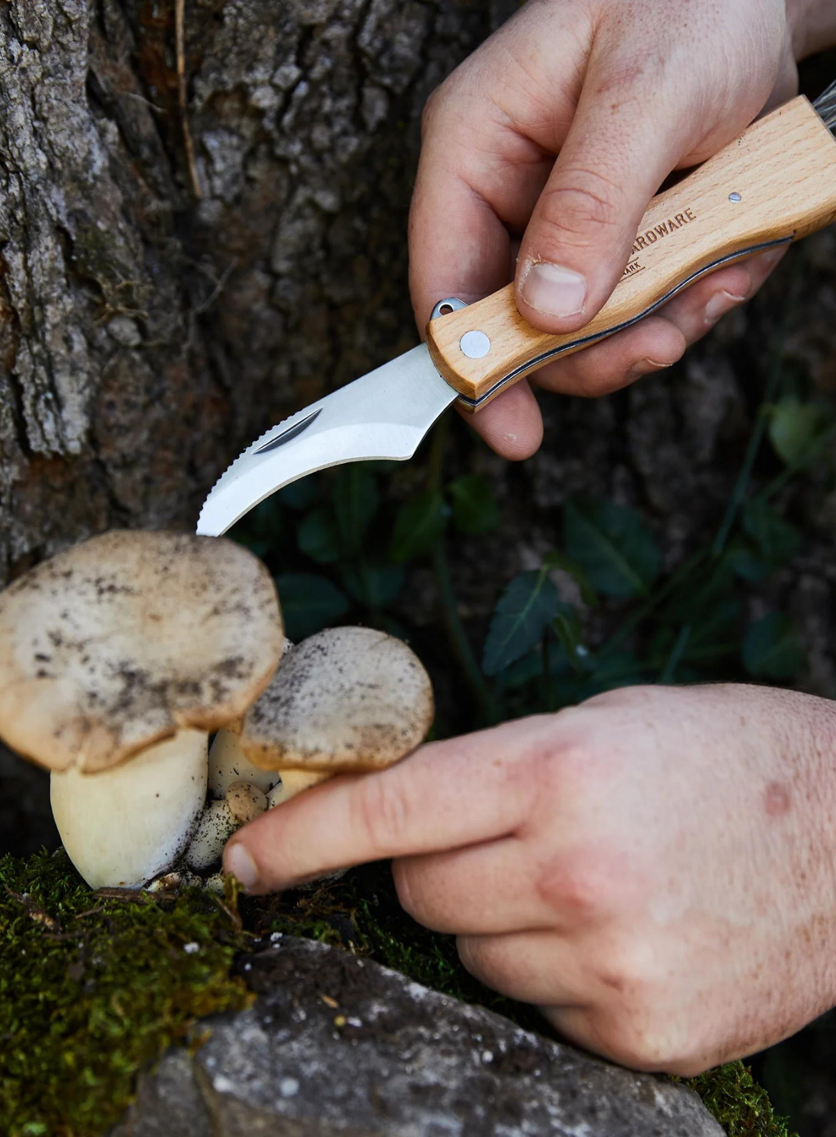 Foraging Knife from Gentlemen's Hardware