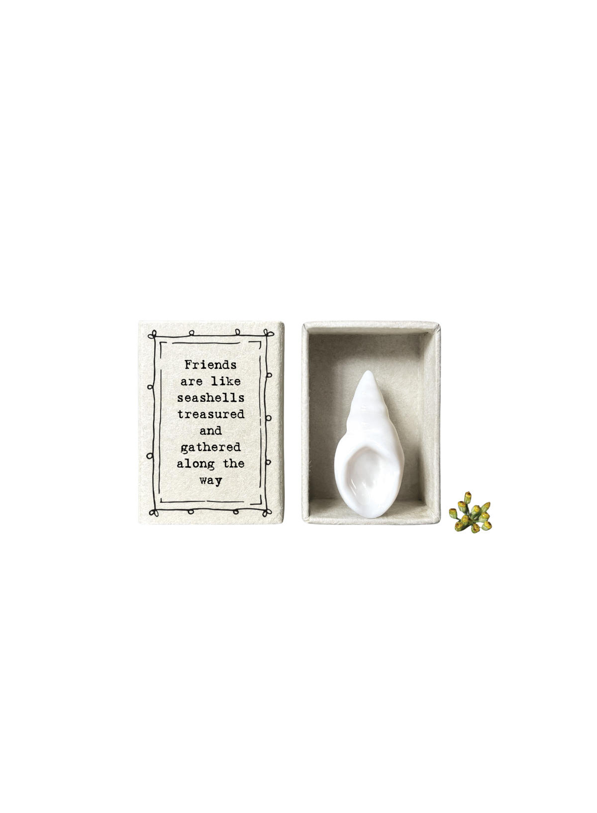 East of India Matchbox Shell