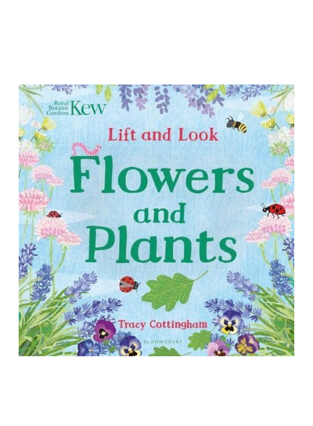 Lift and Look: Flowers and Plants Kew/Board