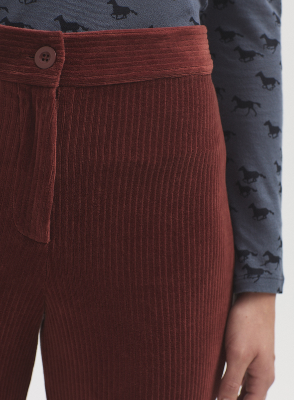 Stretch Corduroy Pants in Brown 345 from Nice Things