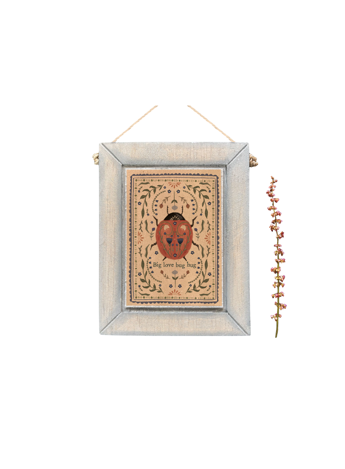 East of India Insect picture Big love bug hug