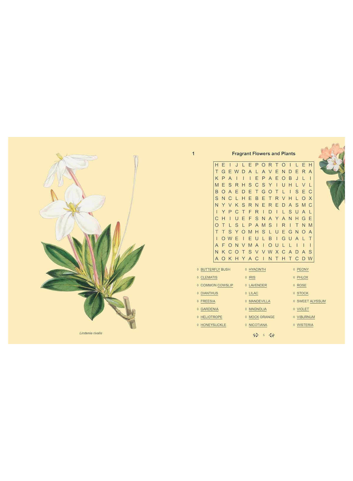 Kew Garden Wordsearch (PB)